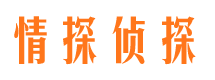 龙湖外遇出轨调查取证